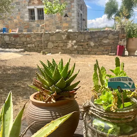 Holiday home Petras House Tennis Experience In Olives