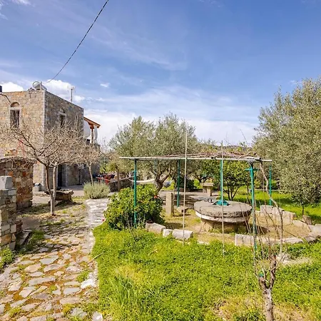 Petras House Tennis Experience In Olives * Avdou